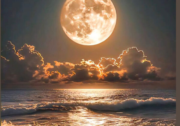 PROGRAM FALA: Twoja 3-miesięczna transformacja kobiecości